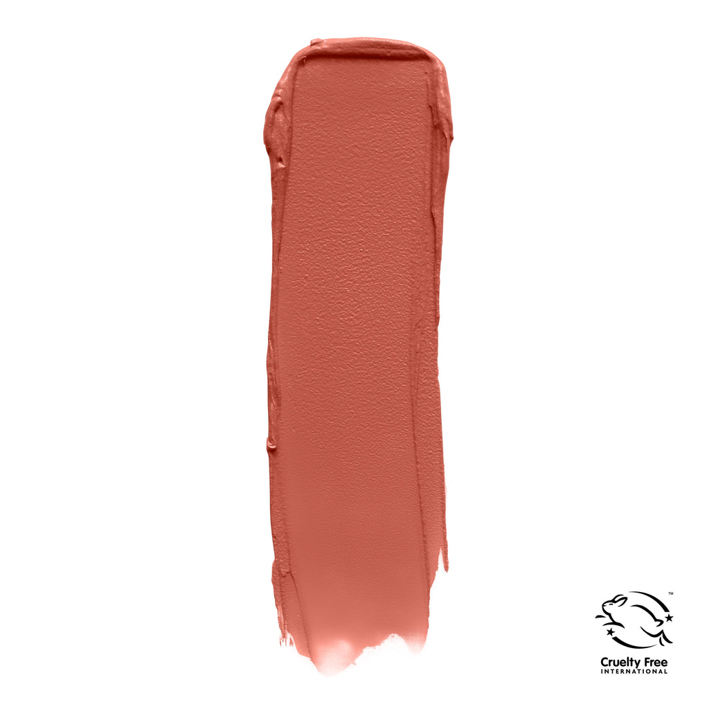 Covergirl Outlast UltiMatte One Step Liquid Lip Color, Spritz Blitz